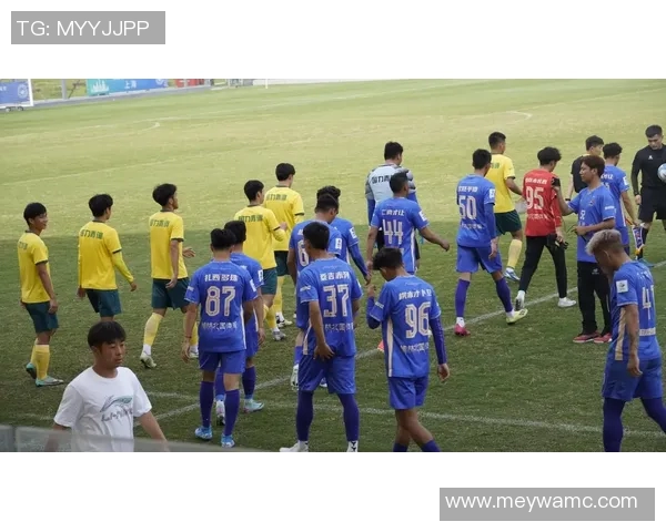 藏区足球明星的崛起与成就盘点及其对足球发展的影响