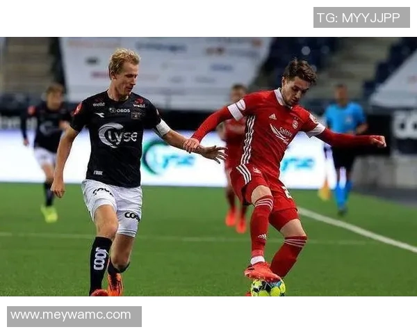 维京队与布兰队对决前瞻分析及胜负预测探讨